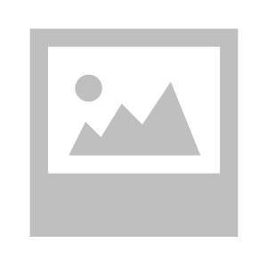 Champion Traders